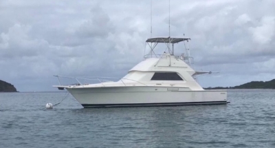 Bertram 37 &#039;87- Detroits 6V71 /  New 8KW Gen