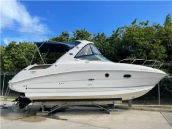 Sea Ray 310 &#039;13 / Trailer