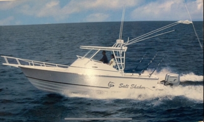 Salt Checker 330 06 Custom &#039;Boat